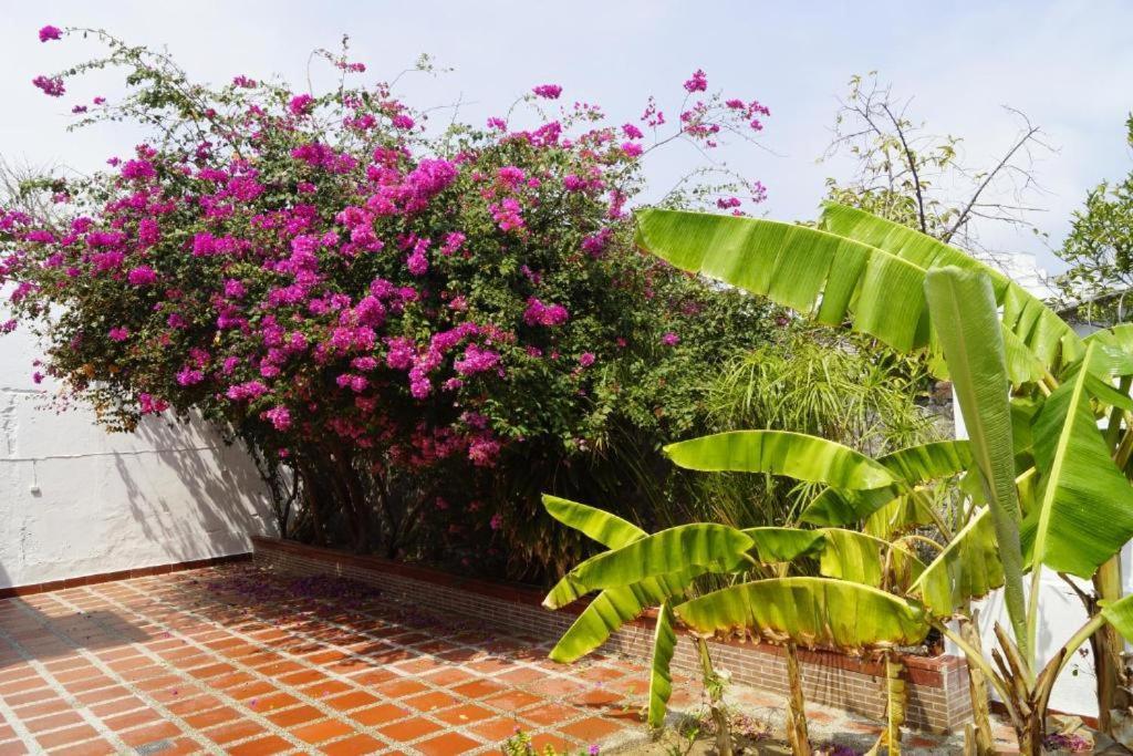 Ayenda Mar di Plata Hotel Barranquilla  Luaran gambar