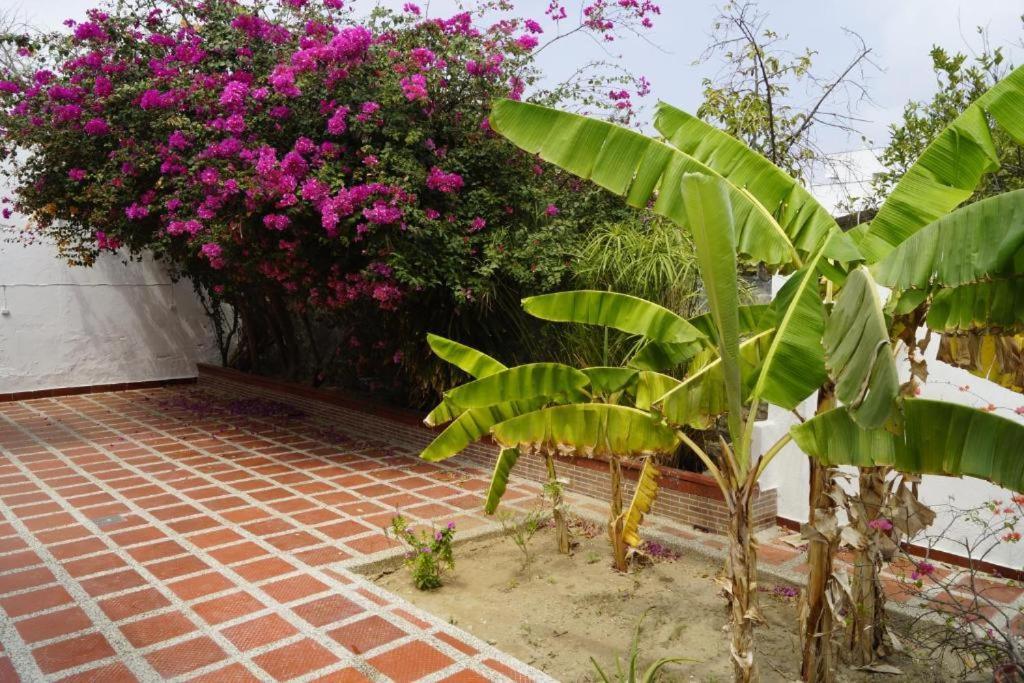 Ayenda Mar di Plata Hotel Barranquilla  Luaran gambar