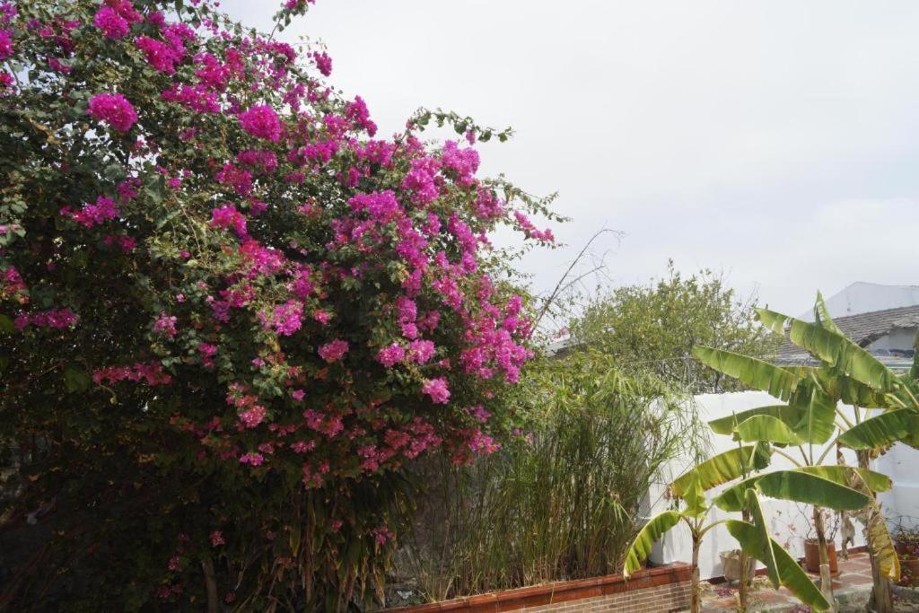 Ayenda Mar di Plata Hotel Barranquilla  Luaran gambar